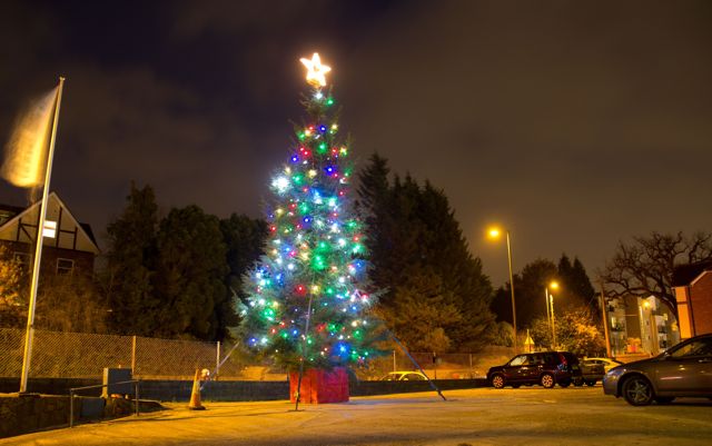 Selwood Christmas Tree 2013