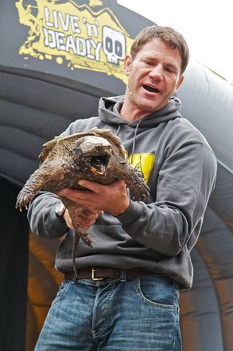 Steve Backshall with Aligator Snapping Turtle: Image by David Farquhar via Flickr.