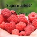 Supermarkets? Raspberries image. Poem by Sally Owens.