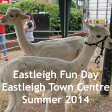 Alpaca Eastleigh feature