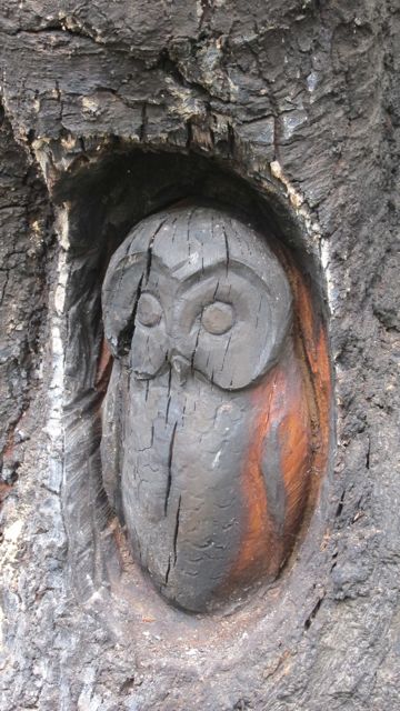 Hocombe Mead vandalism: the carved owl has been burnt and damaged.