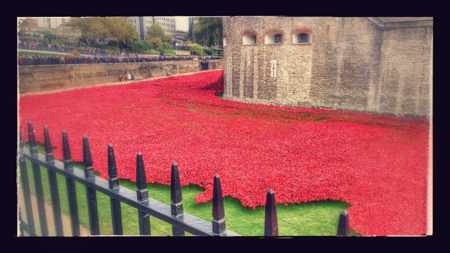 888,246 ceramic poppies progressively filled the Tower's famous moat between 17 July and 11 November 2014.