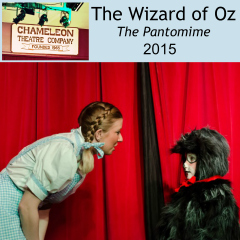 Wizard of Oz feature
