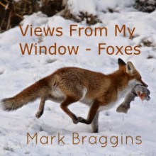 Views from my window post by Mark Braggins
