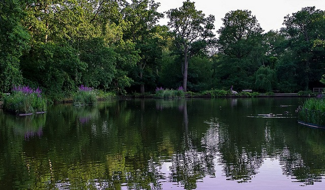 Hiltingbury Lakes by <a href="https://www.flickr.com/photos/burfoto/14719765452/in/pool-so53">Matt Burfield</a>, photographer in Chandler's Ford. Image via Flickr.