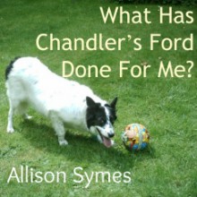 What has Chandler's Ford done for me by Allison Symes