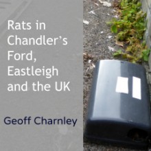 Rats in Chandler's Ford, Eastleigh and the UK.