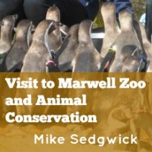 Marwell Zoo