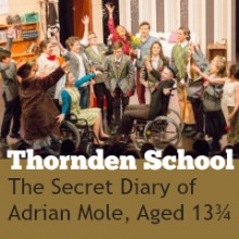 Thornden School Adrian Mole feature
