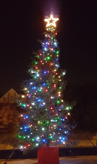 2015 Christmas tree at Selwood, Bournemouth Road, Chandler’s Ford. Image credit: Selwood.
