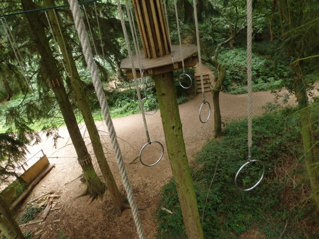 Go Ape Challenge. Image by Chippy Minton.