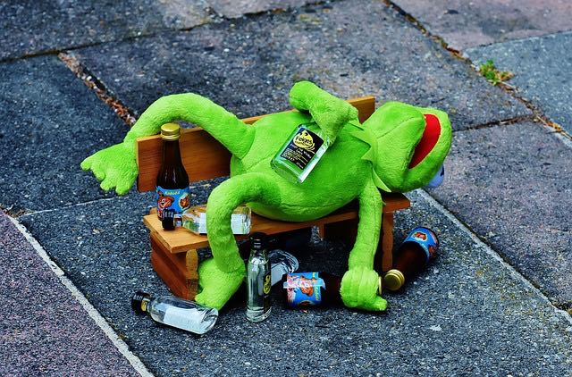 Frog drunk photo by Alexas_Fotos via Pixabay