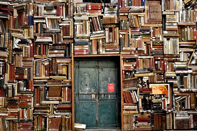 The world of books. Image via Pixabay