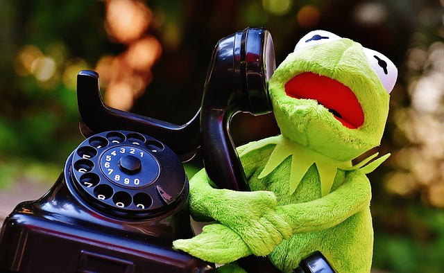 Alexas_Fotos via Pixabay