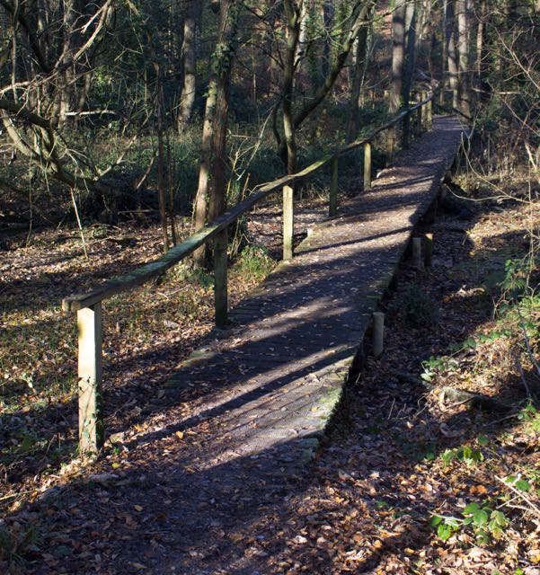 Hocombe Mead Chandler's Ford Nature Reserve: Board Walks image