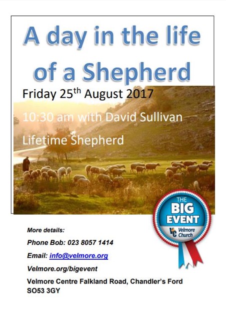 A Day in the Life of a Shepherd with David Sullivan.