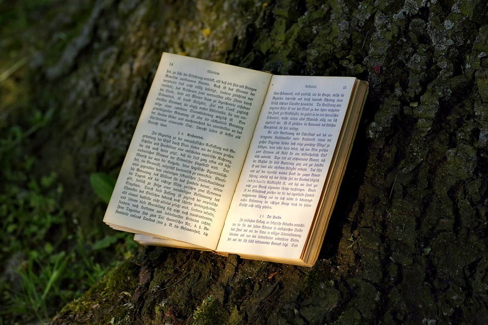 Books became rarer in WW2 due to paper shortages - image via Pixabay