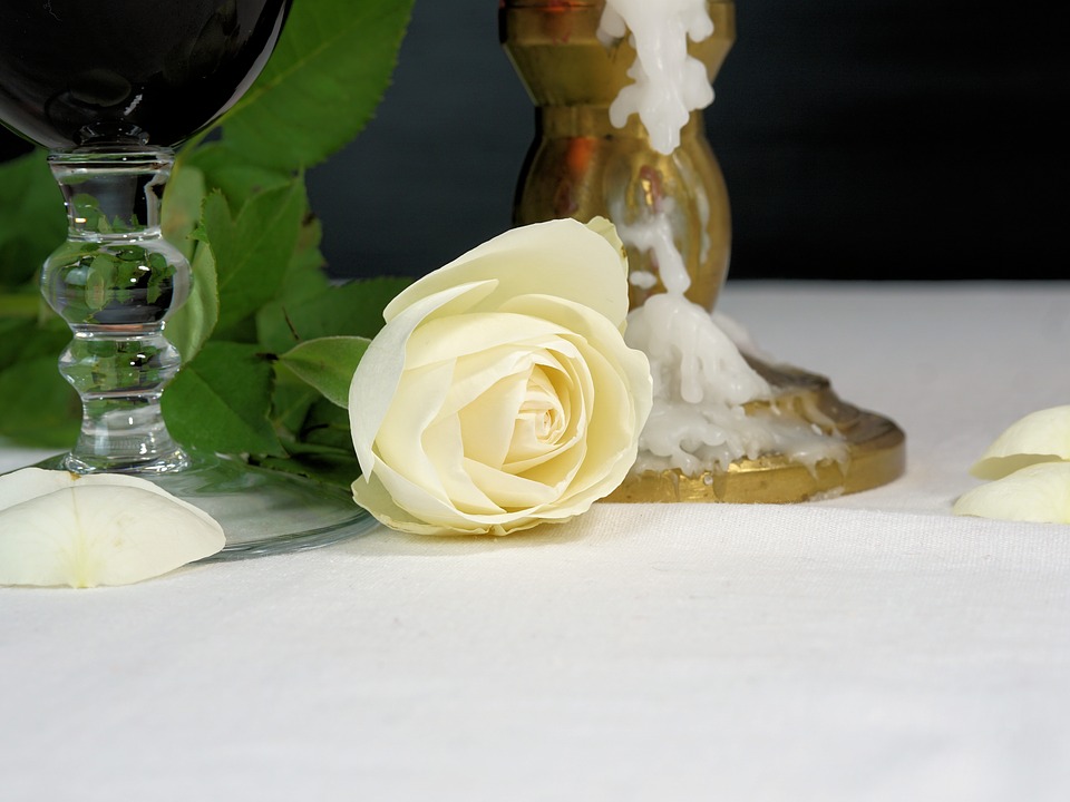Ricardians prefer their roses white for York - image via Pixabay