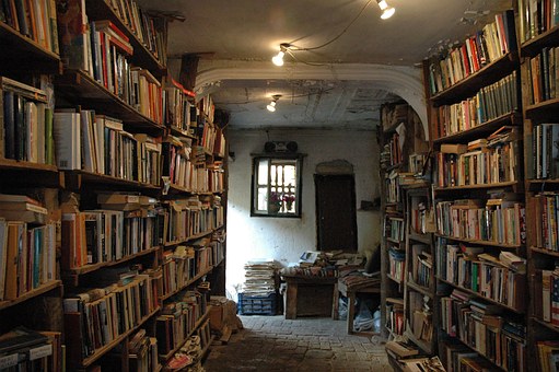 Where every author wants their book to be - in a bookshop - image via Pixabay