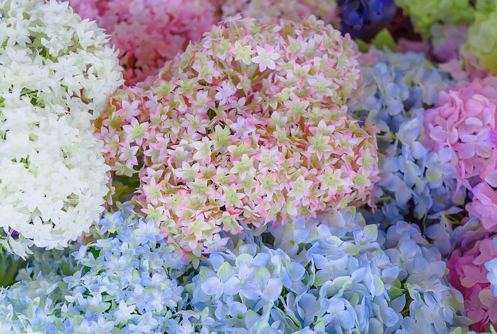 Fake flowers can be beautiful and are a blessing to allergy sufferers. Image via Pixabay