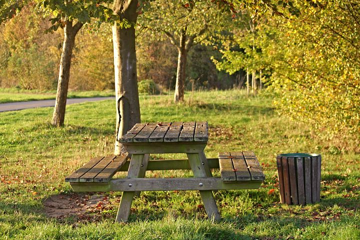Part 6 - Nice picnic area but is the bin too small for purpose? Image via Pixabay