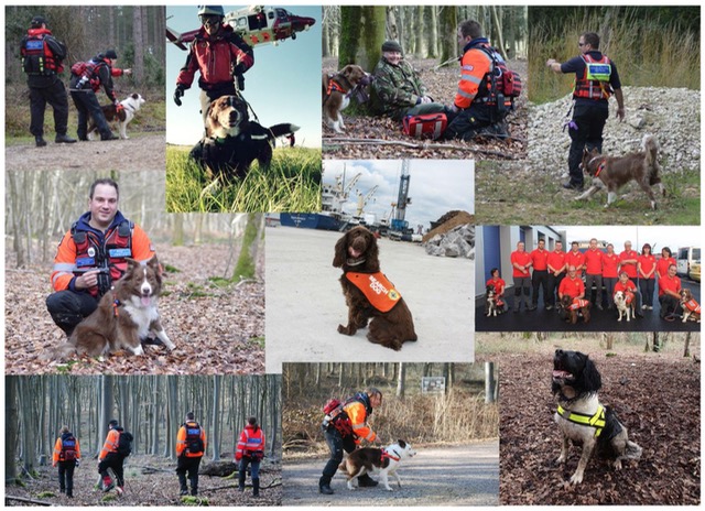 Hampshire Search & Rescue Dogs - HSAR Dogs.