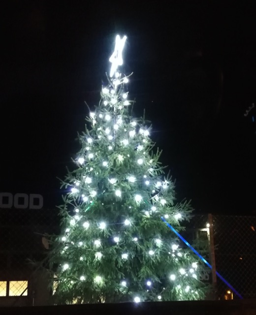 Selwood's Christmas tree, 2018