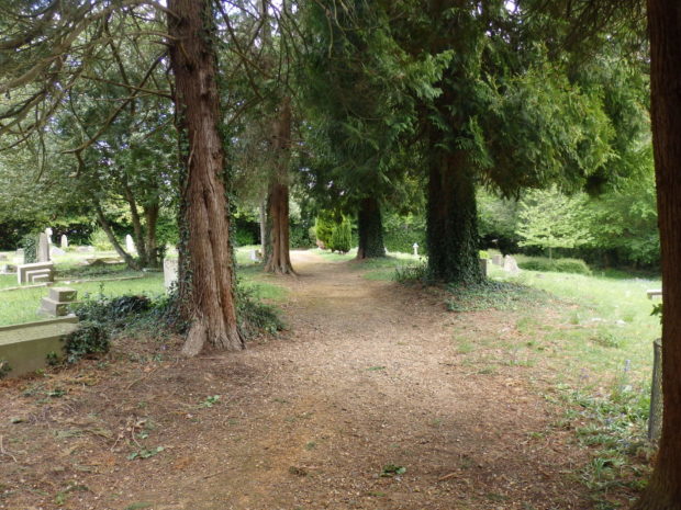 Path at Pine Road Cemetery