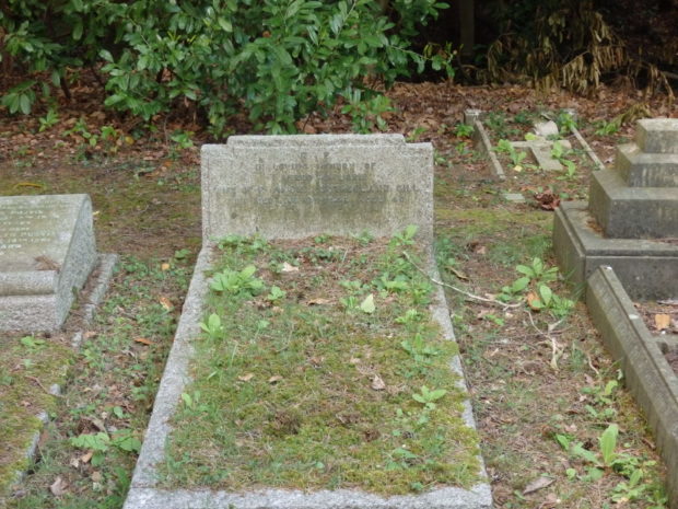 Grave stone covered in lichen Pine Road Cemetery