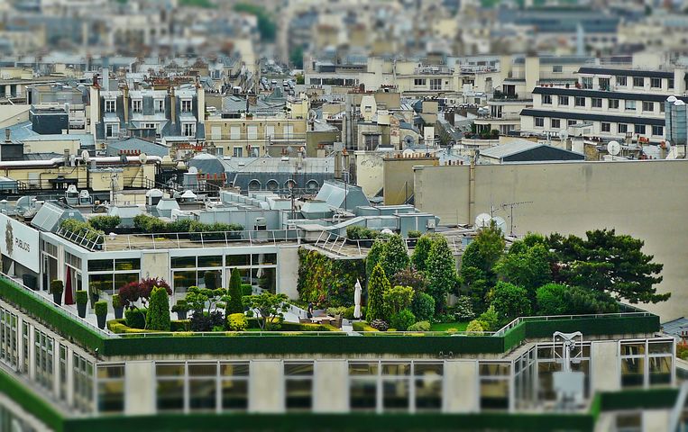 An example of a roof garden - Pixabay