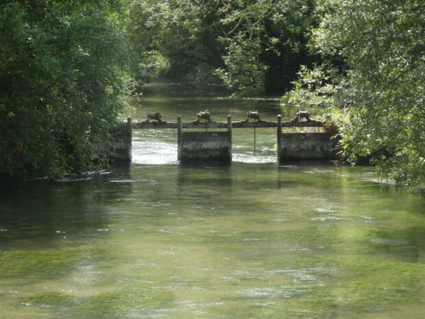River near Avington