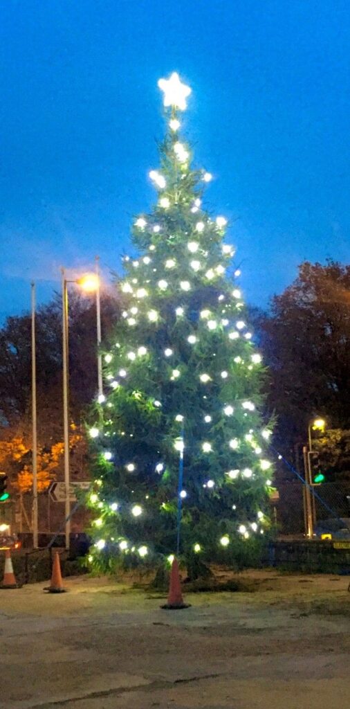 Selwood Christmas Tree 2020