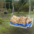 The swing