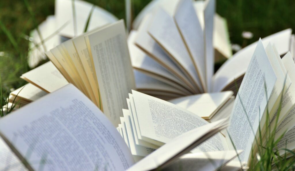 books - image via Congerdesign via pixabay