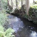 Monks Brook