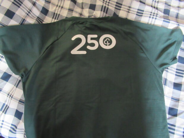 unofficial 250 parkrun tee shirt