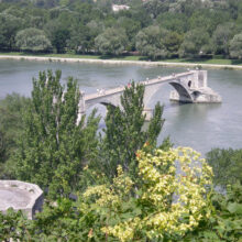 Pont d’Avignon seen from the Palais du Papes gardens – Mike Sedgwick