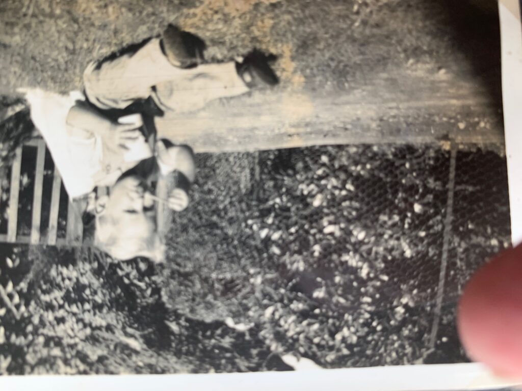 Andy Vining aged about 2