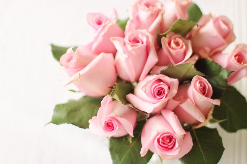 Image by Terri Cnudde from Pixabay