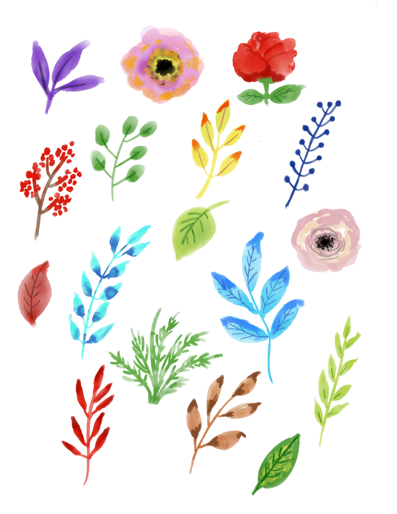 Image by Luciana Silva from Pixabay