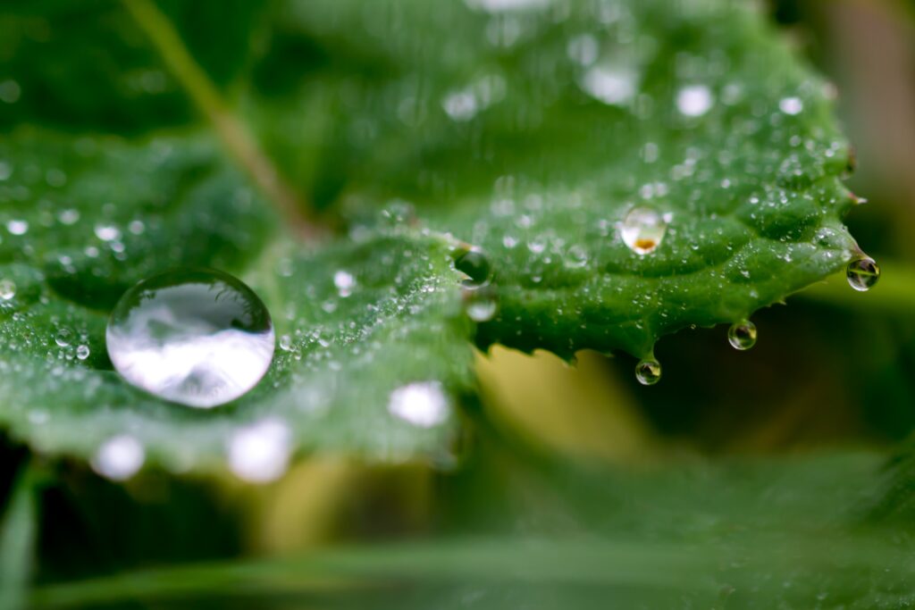 waterdrop Image by uwe367 from Pixabay