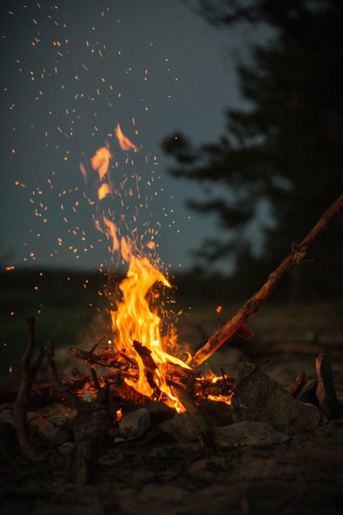 Image by StockSnap from Pixabay