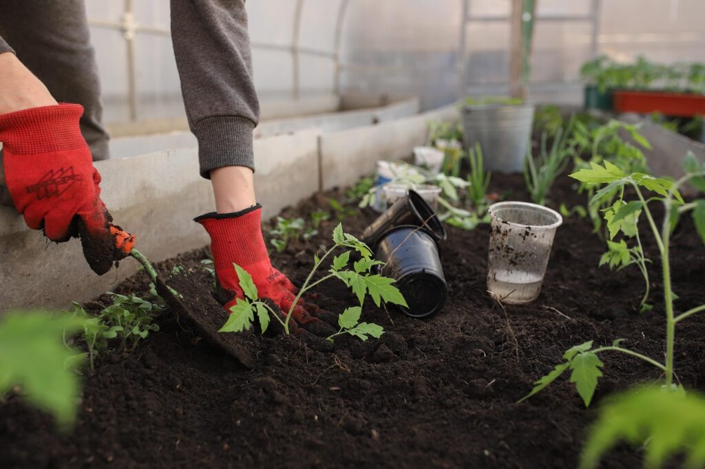 gardening Image by Ekaterina Ershova from Pixabay greenhouse image